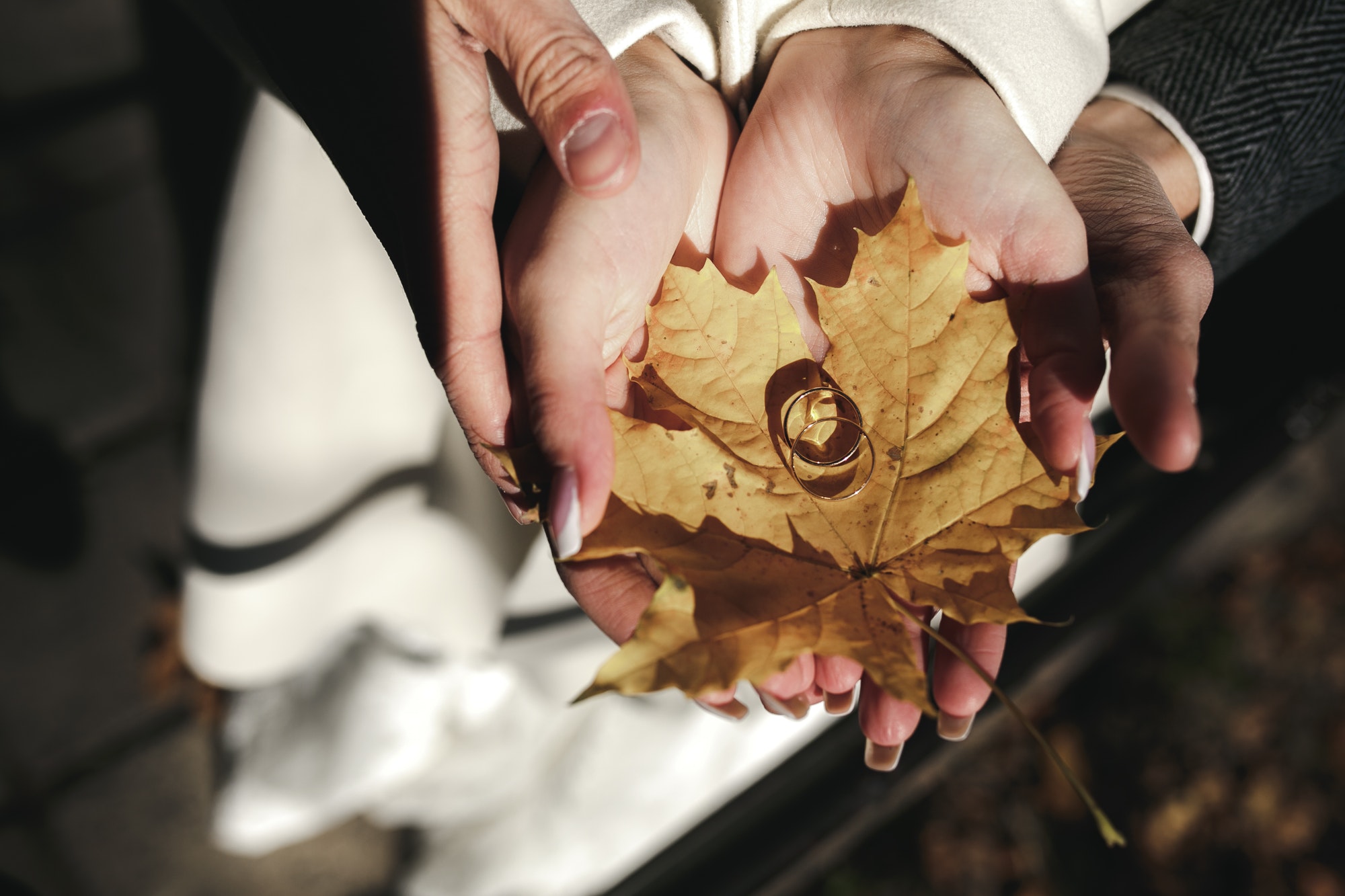 Golden wedding rings